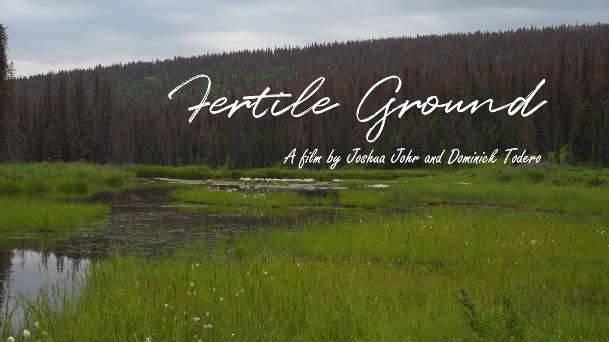 Fertile Ground - 2019 Documentary